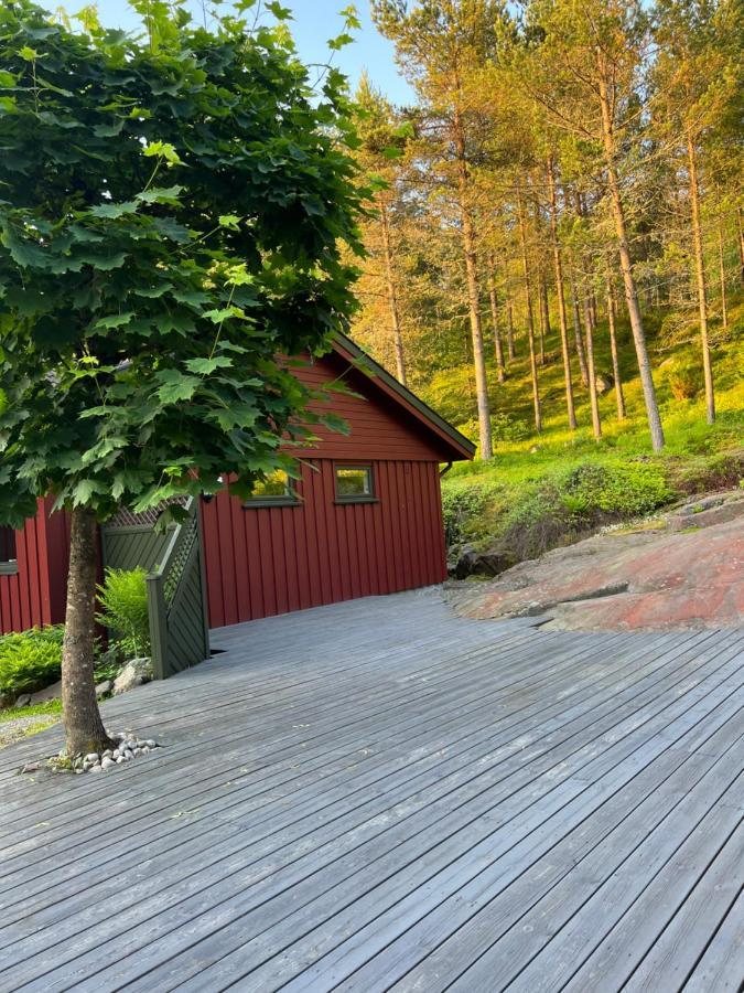 Oggevatn Apartment Birkenes Екстериор снимка