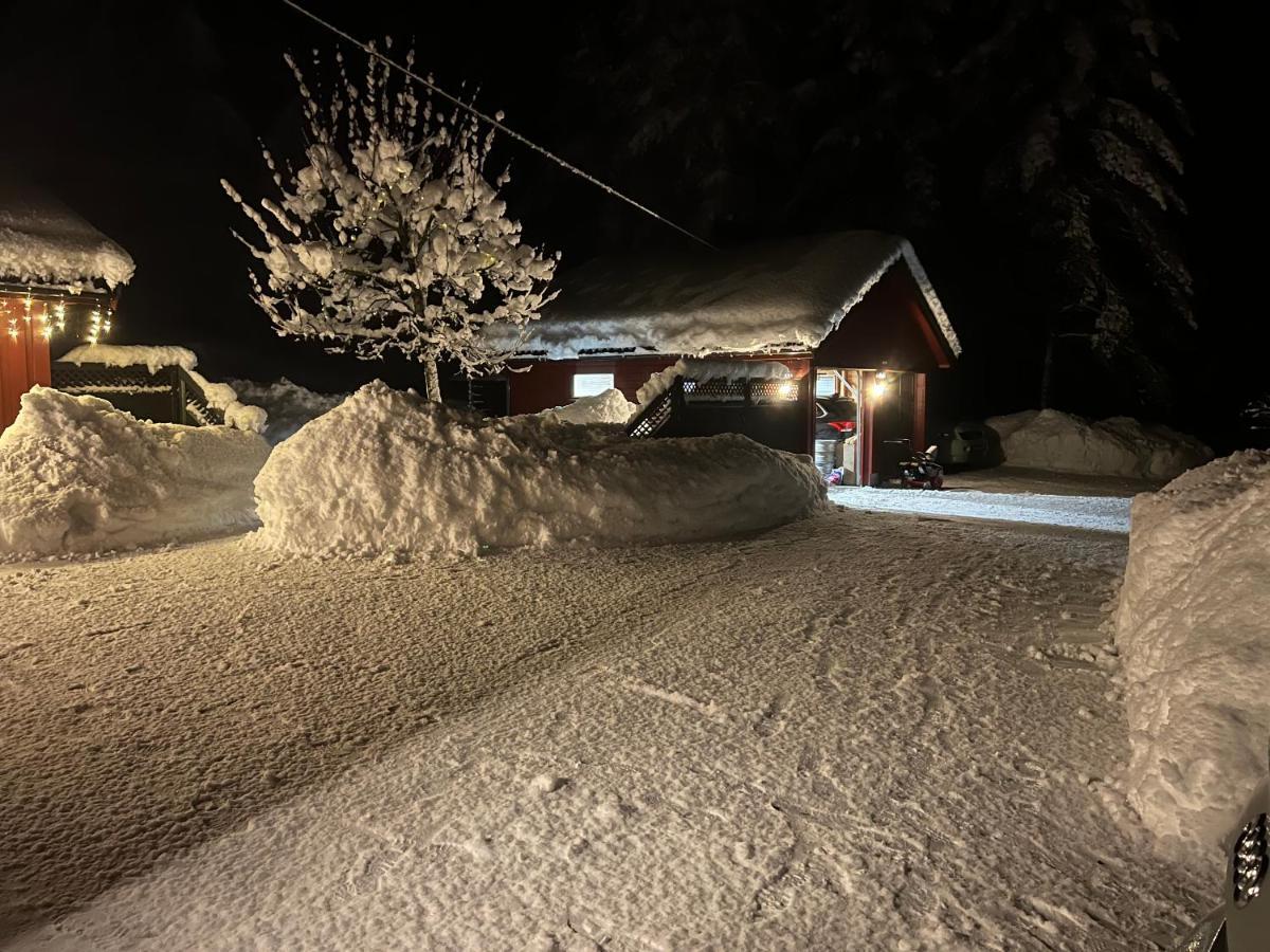 Oggevatn Apartment Birkenes Екстериор снимка